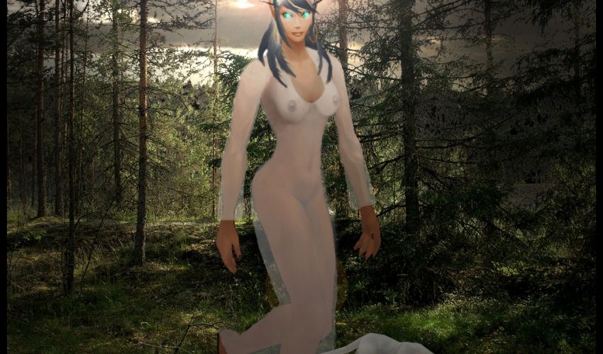 in the wood