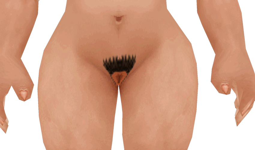 dwarf_hairy