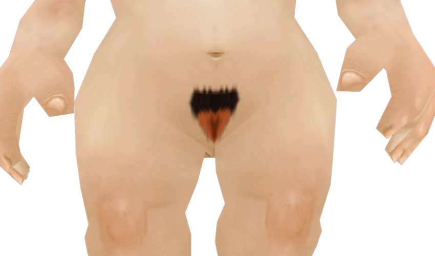 gnome_hairy