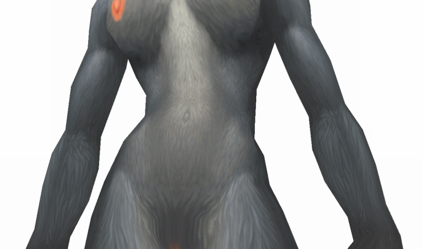 worgen_nude